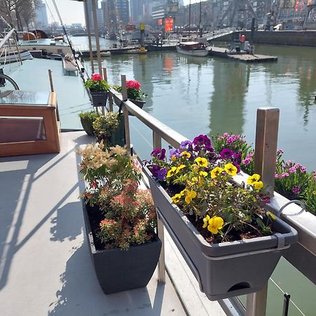 Rooms On Water Rotterdam Exterior foto