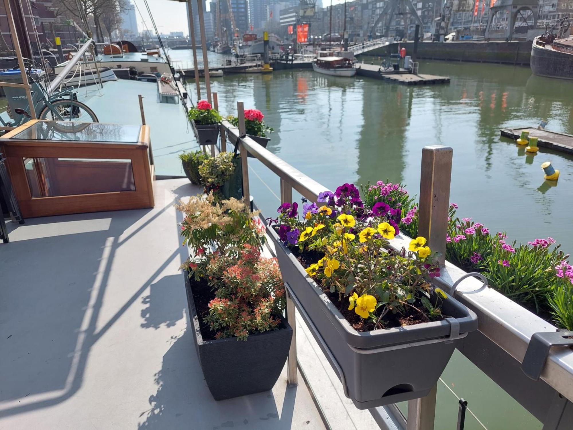 Rooms On Water Rotterdam Exterior foto